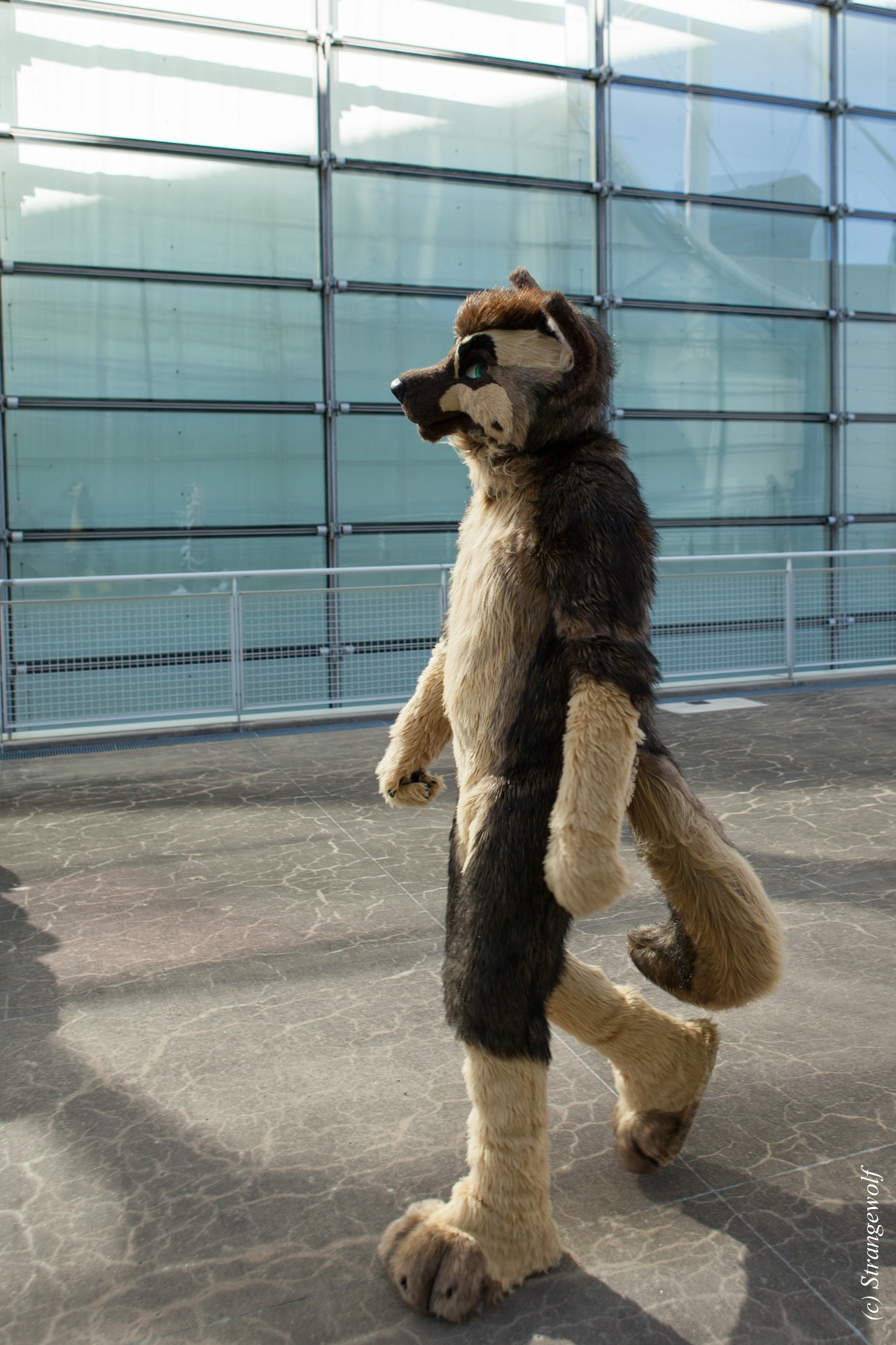 full image IMG_4269-lr19t.jpg
