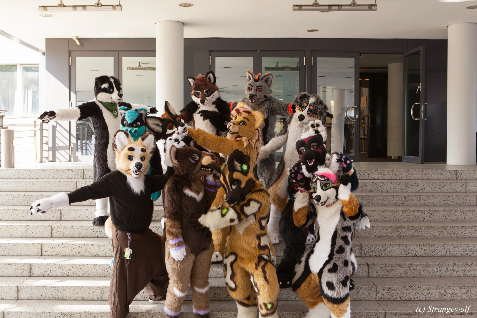 full image IMG_4914-lr19t.jpg