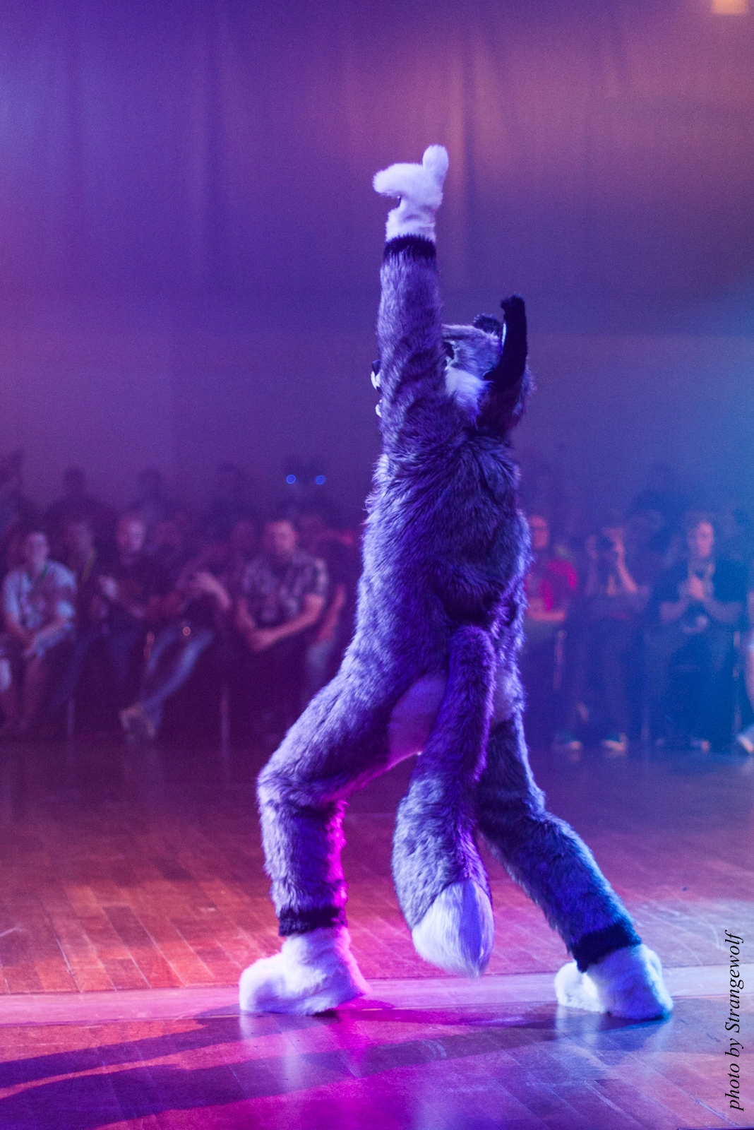 full image IMG_2966-lr16t-2.jpg