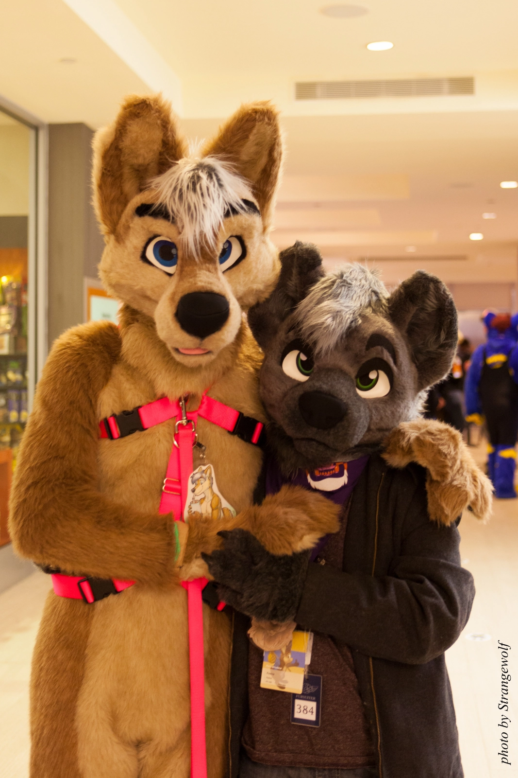 full image IMG_1295-lr16t.jpg