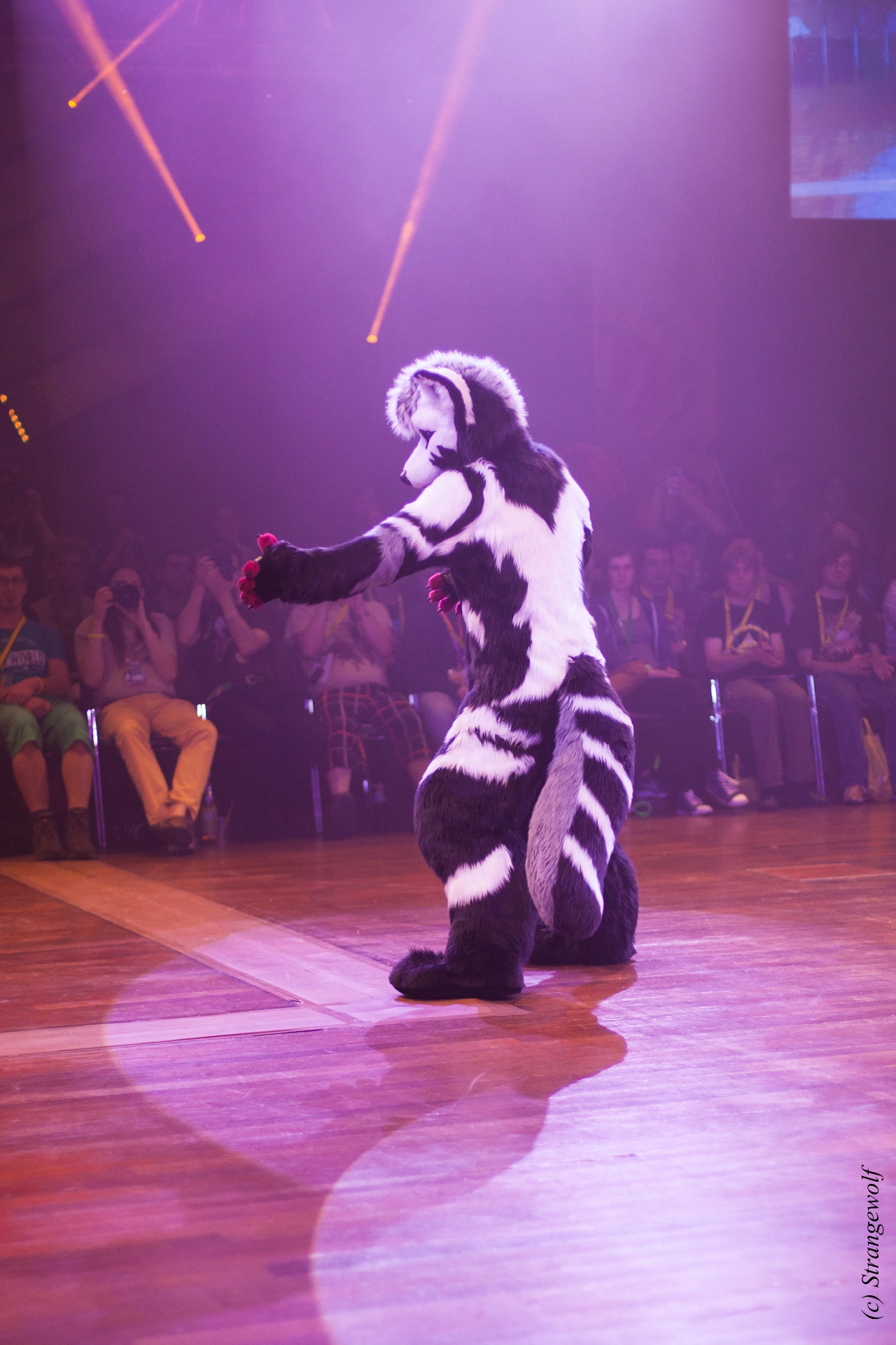 full image IMG_6541-lr19t.jpg