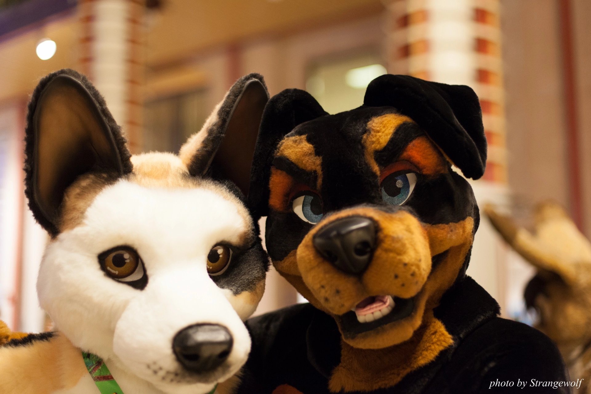 full image IMG_9372-lr19t.jpg