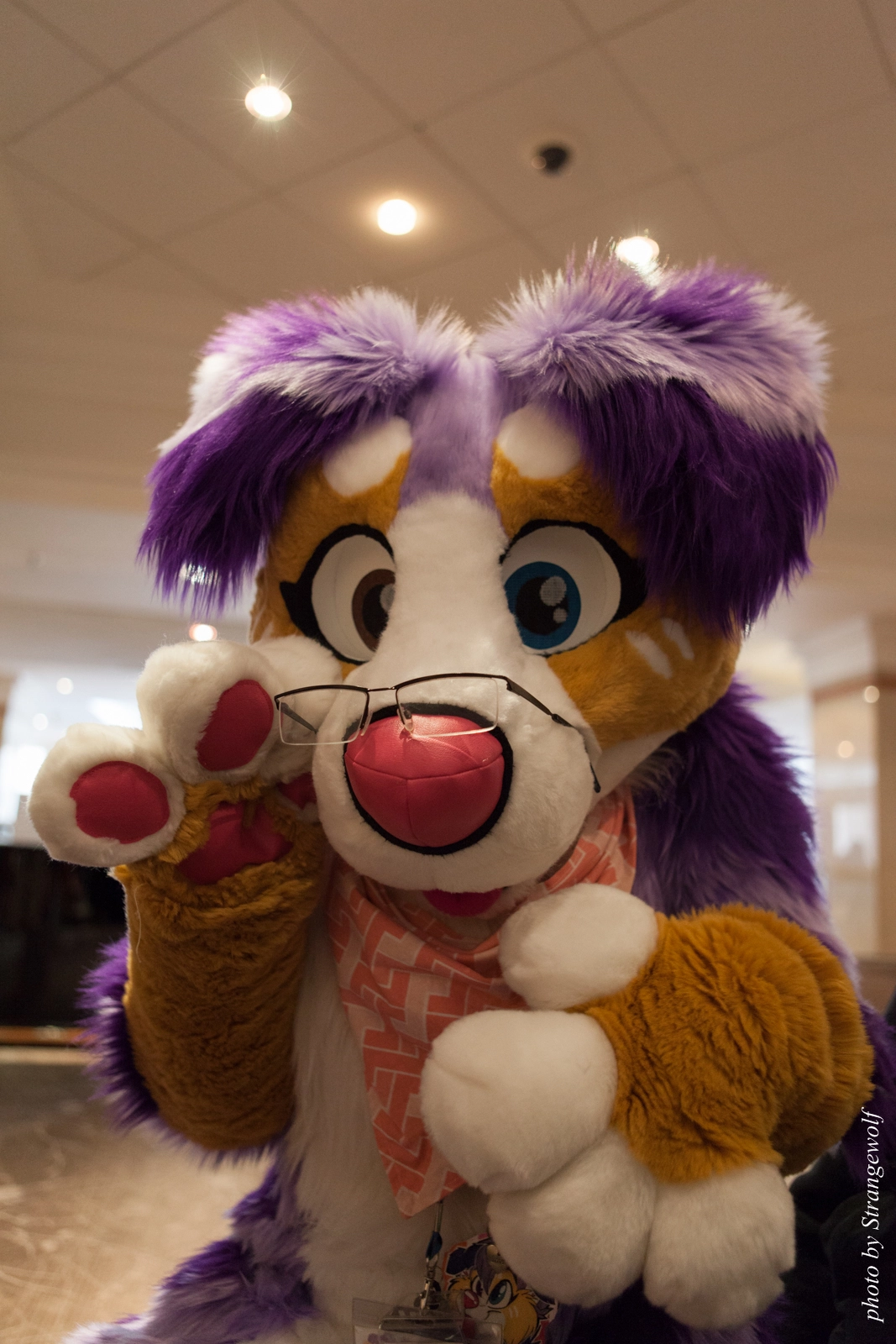 full image IMG_7513-lr16t.jpg