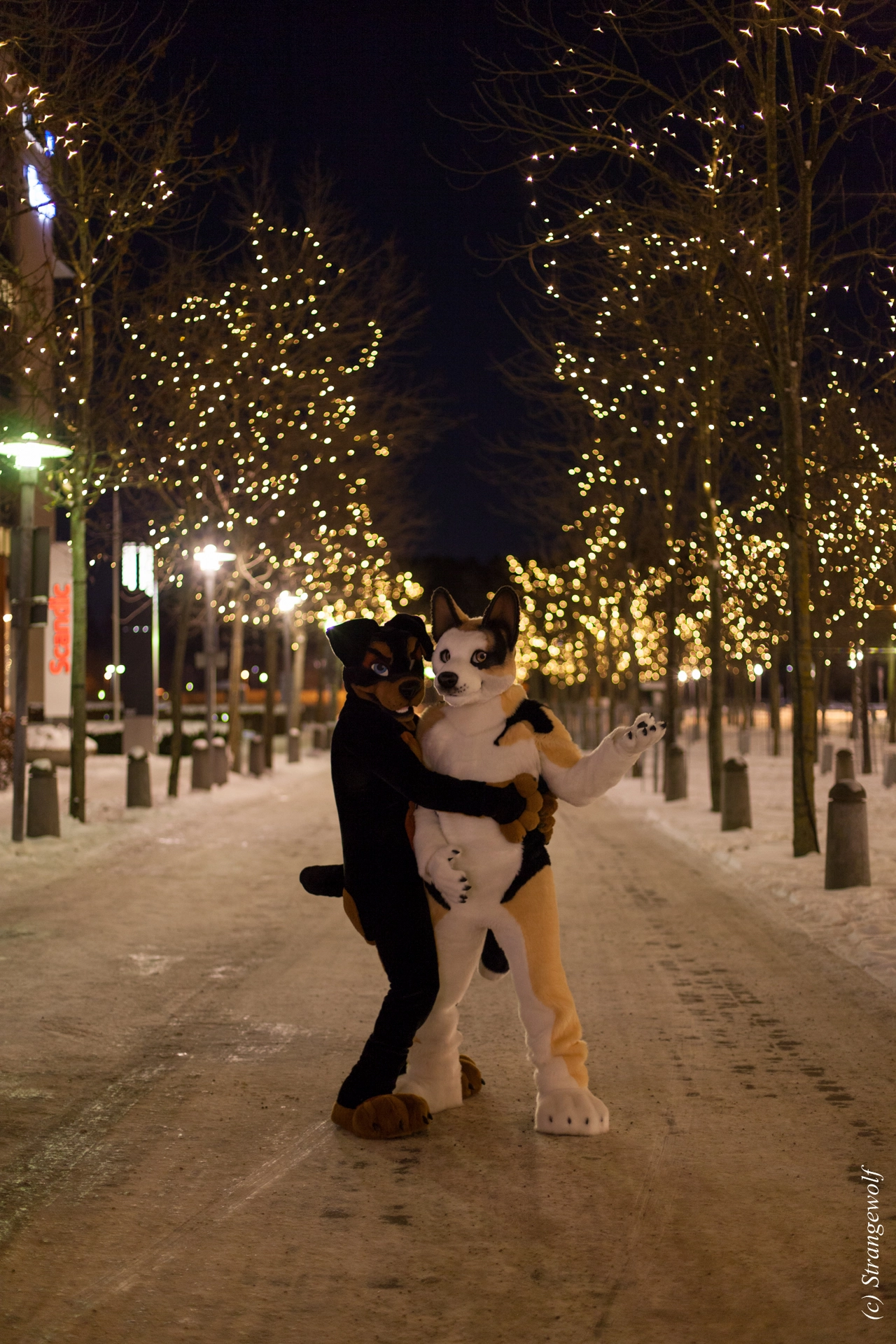 full image IMG_9269-lr19t.jpg