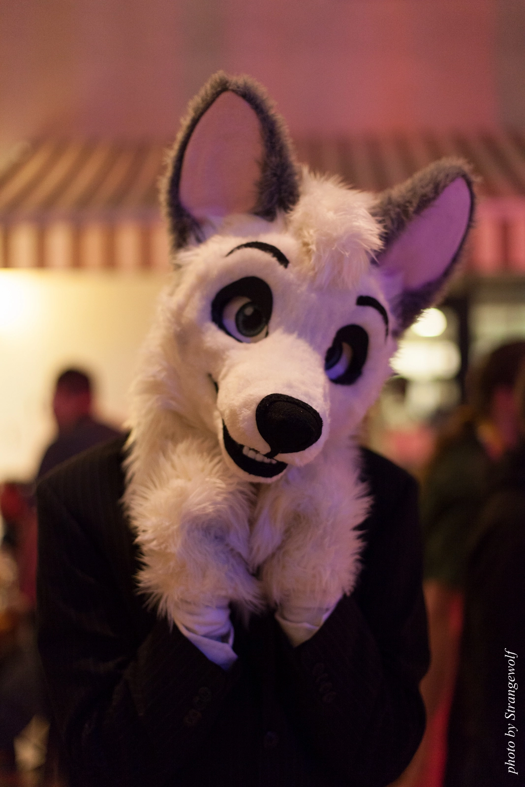 full image IMG_8970-lr16t.jpg