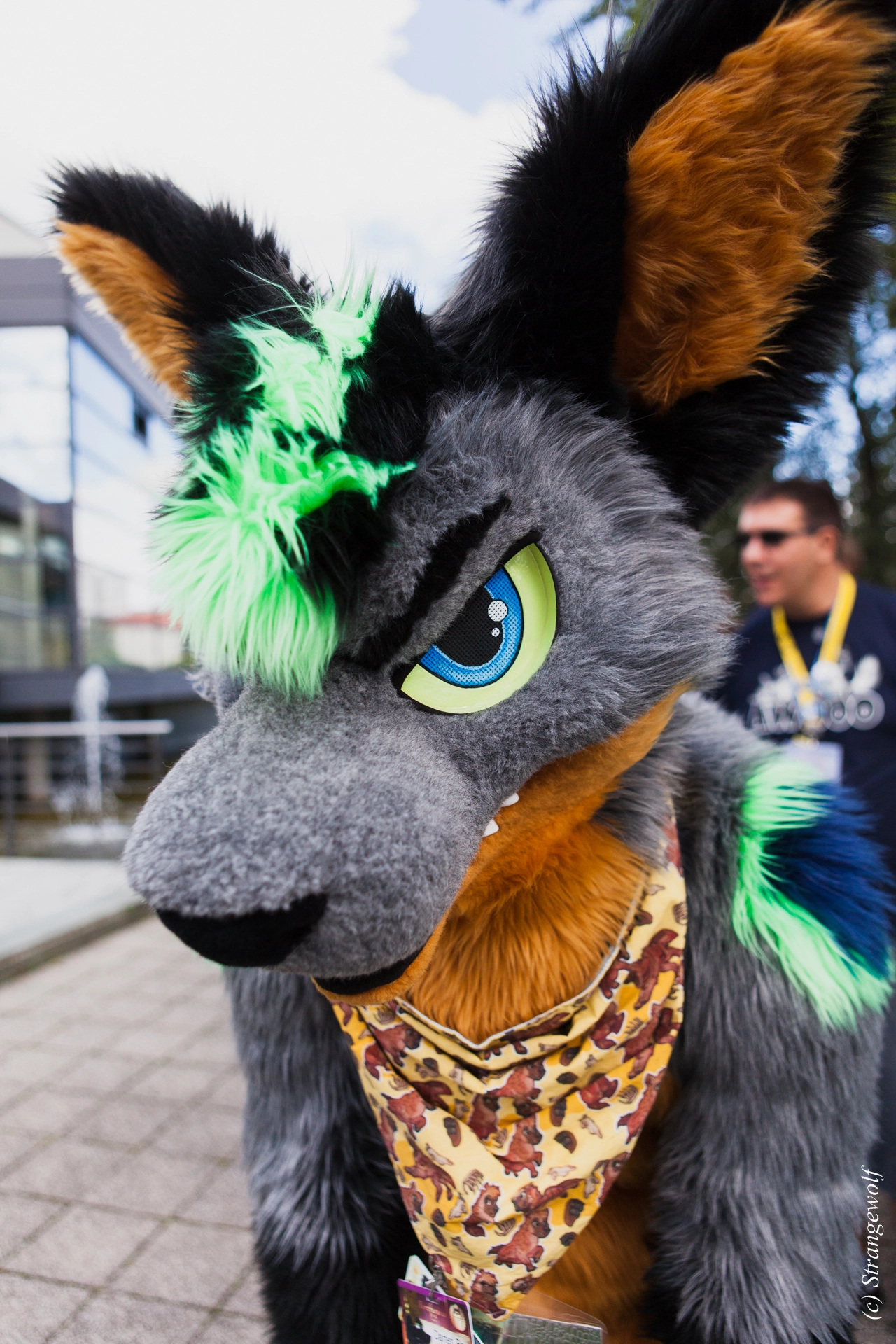 full image IMG_6963-lr19t.jpg