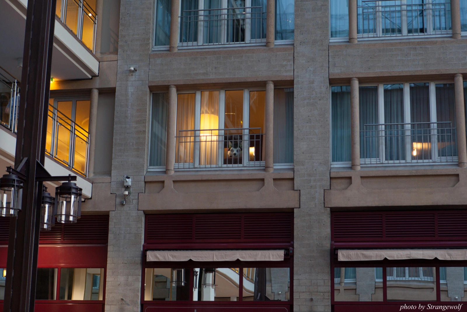 full image IMG_1197-lr16t.jpg