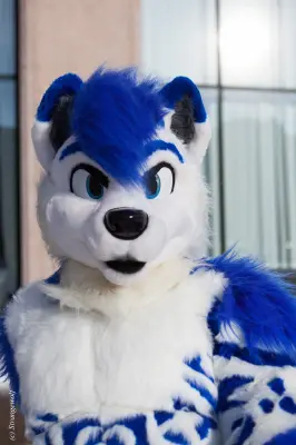 IMG_9752-lr19t.jpg of NFC/NFC2018/