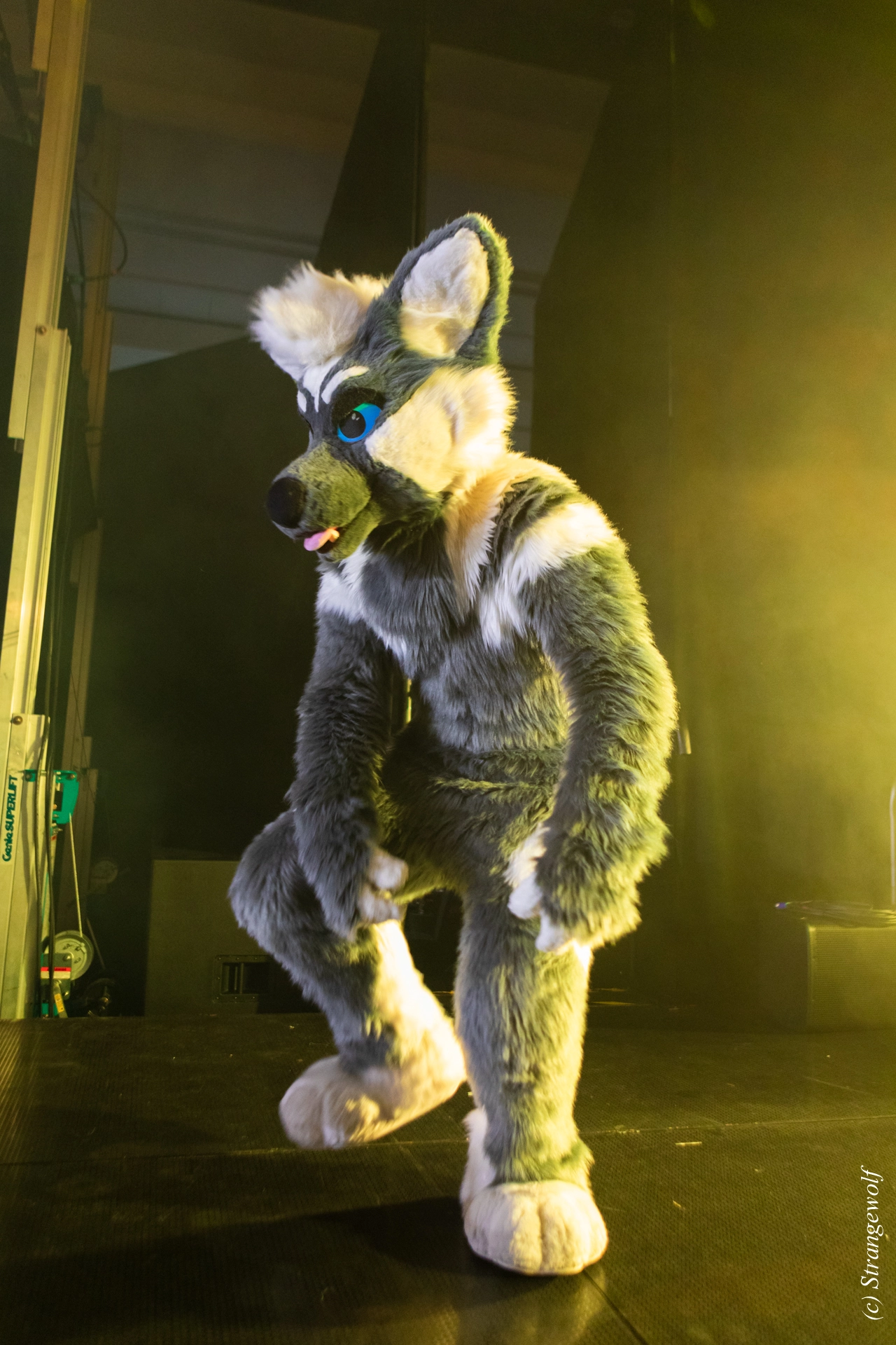 full image 1R3A4884-lr19t.jpg