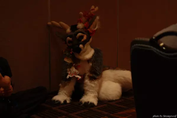 IMG_0322-lr.jpg of MFF/MFF2013/