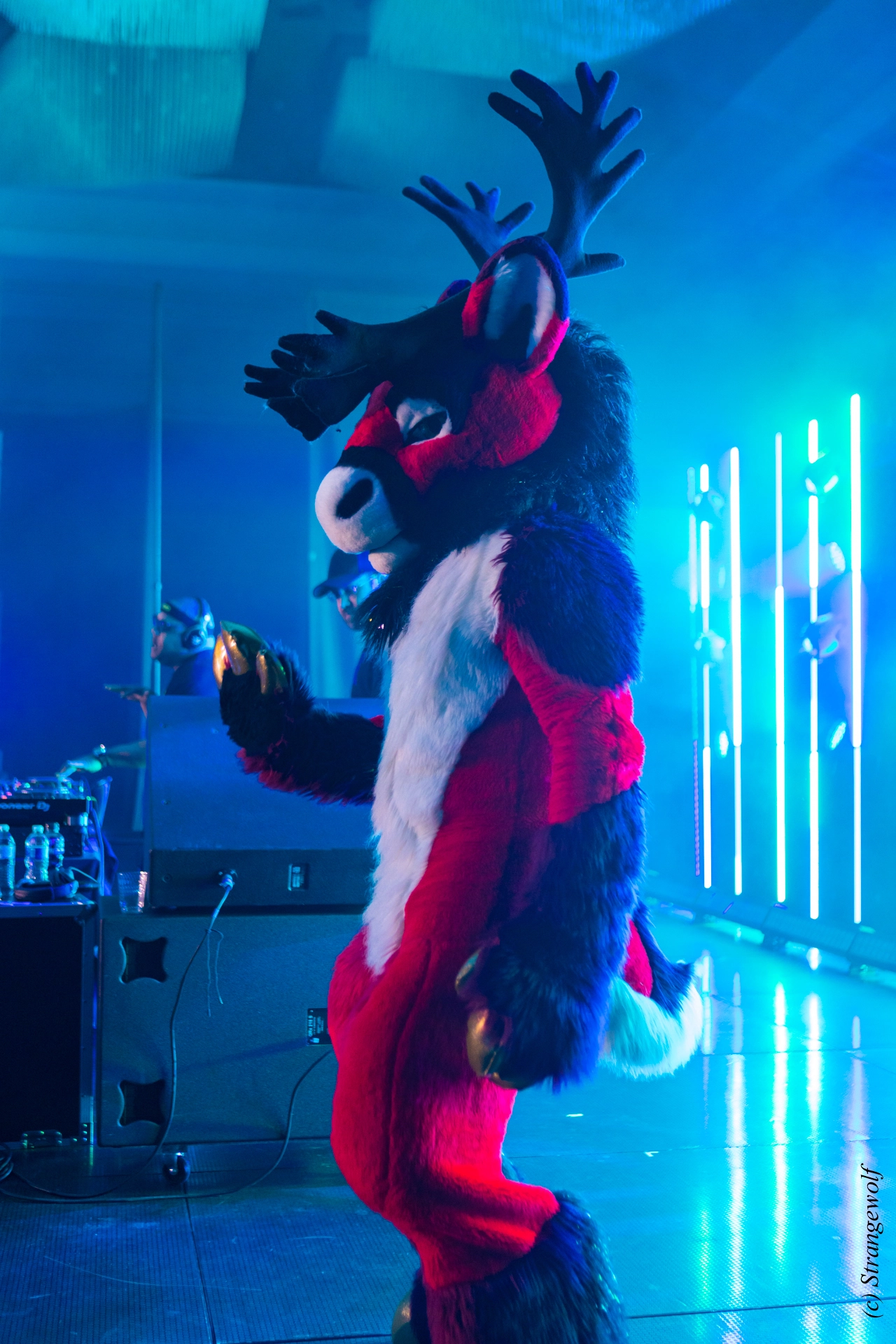 full image 1R3A5124-lr19t.jpg