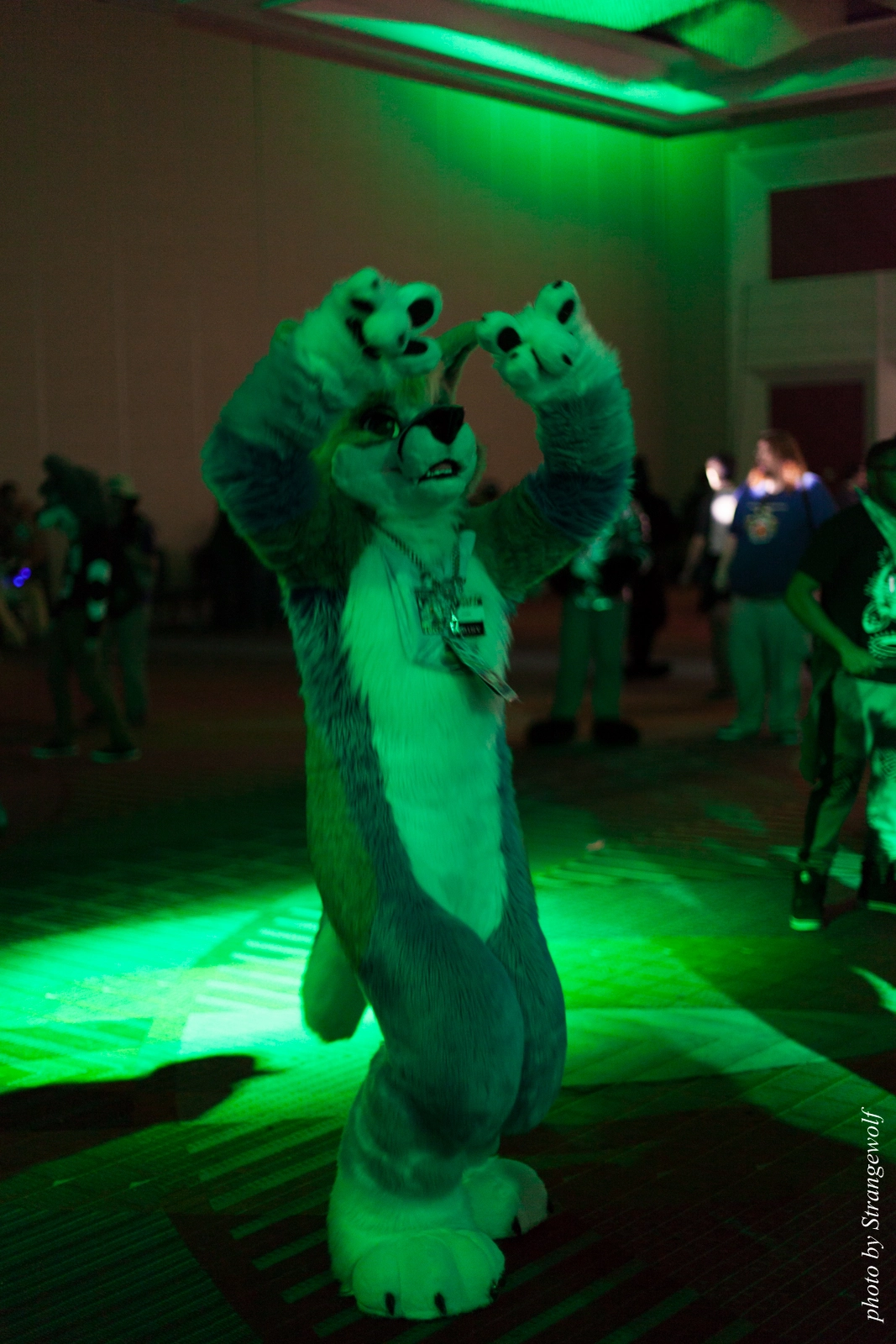full image IMG_4481-lr16t.jpg