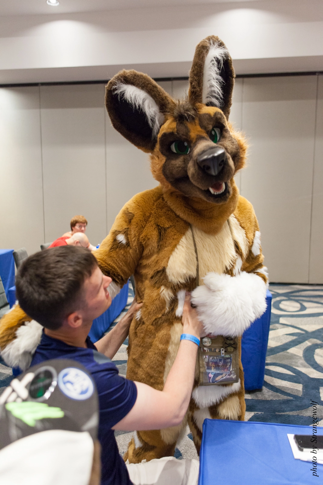 full image IMG_8181-lr16t.jpg