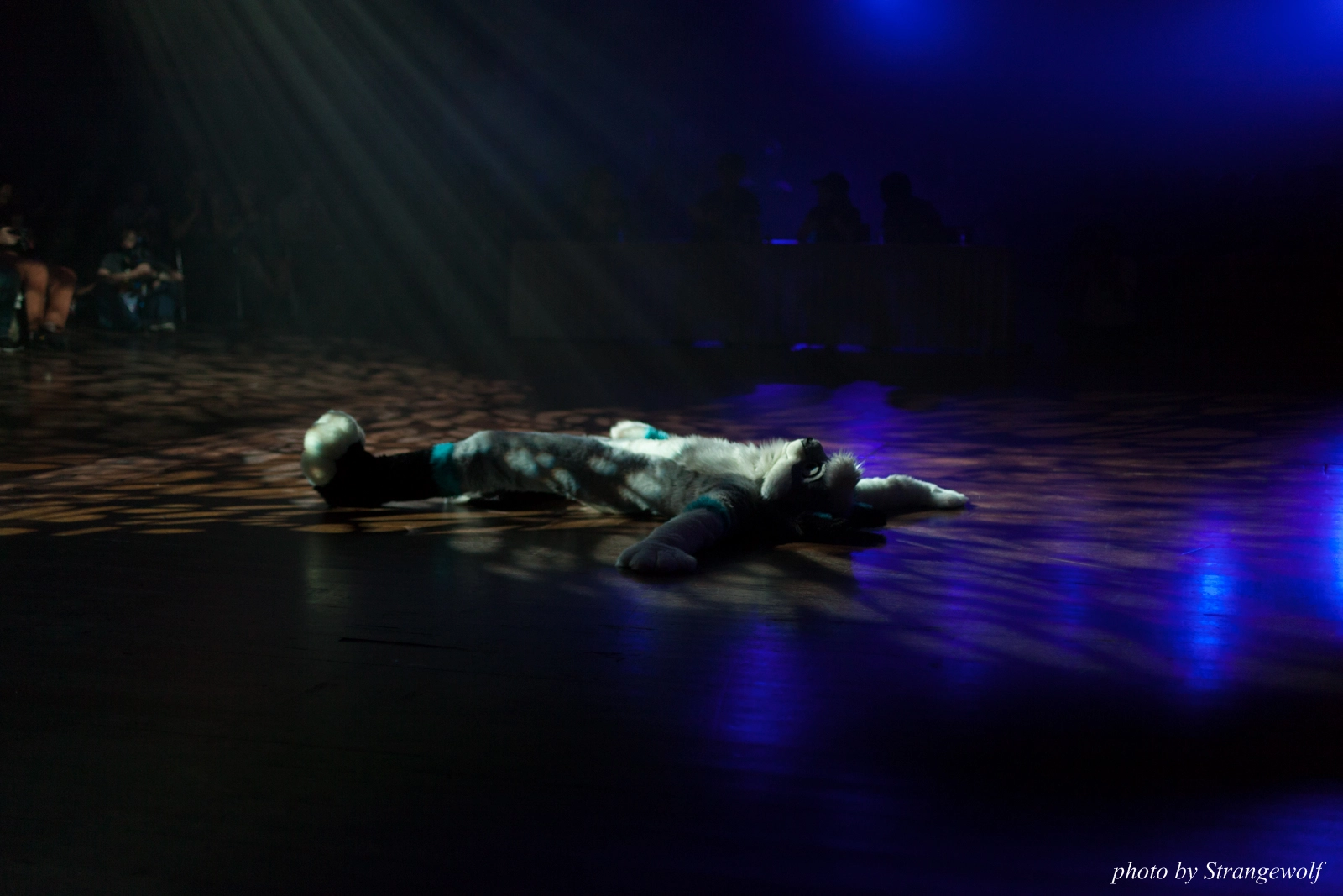full image IMG_9144-lr16t.jpg