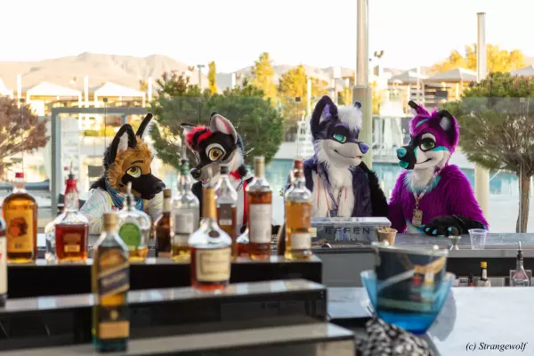 1R3A3185-lr.jpg of BLFC/BLFC2023/AlphaDogs/