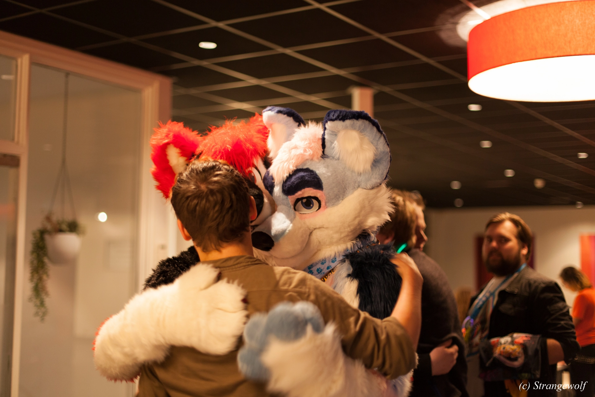 full image IMG_6957-lr19t.jpg