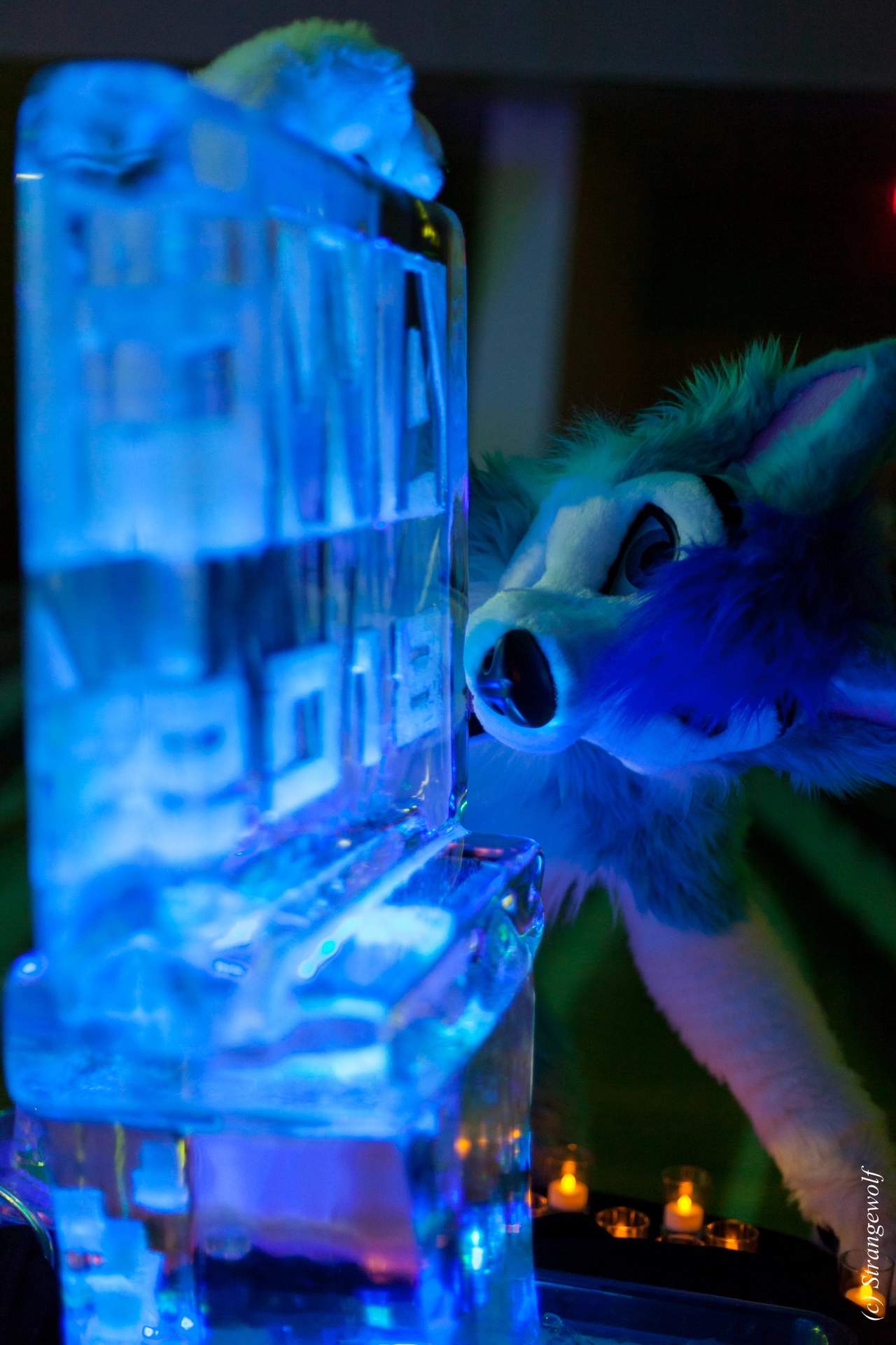 full image IMG_2078-lr19t.jpg