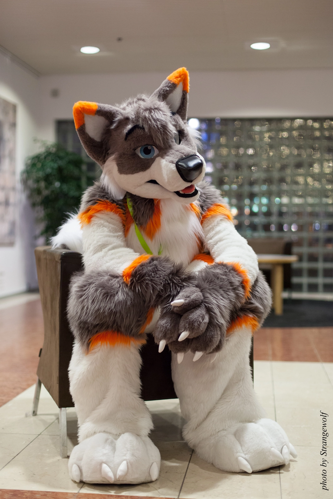 full image IMG_1618-lr16t.jpg