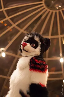 IMG_7140-lr19t.jpg of MFF/MFF2018/
