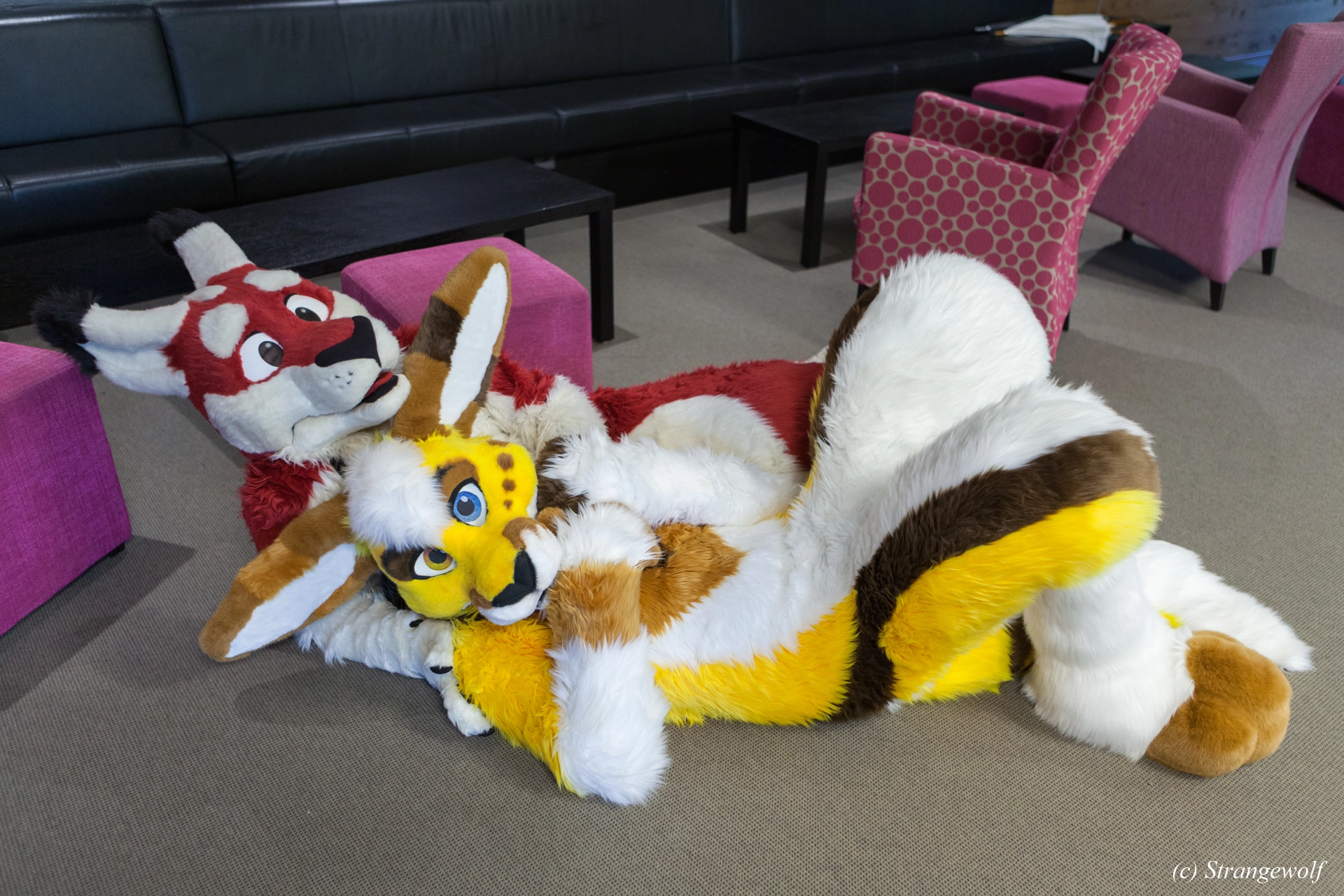 full image IMG_7139-lr19t.jpg