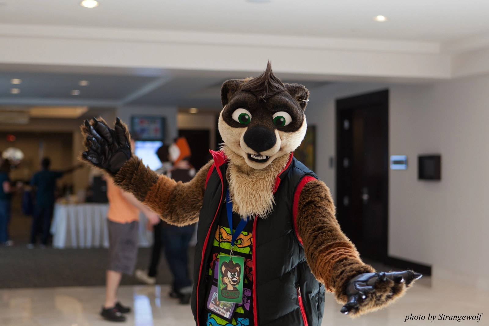 full image IMG_8082-lr16t.jpg