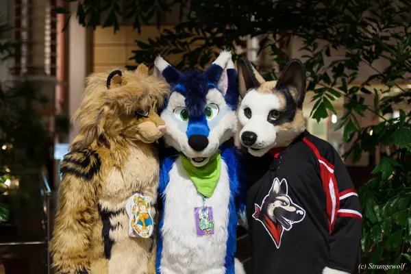 IMG_9034-lr19t.jpg of NFC/NFC2019/Shoot-Defus/