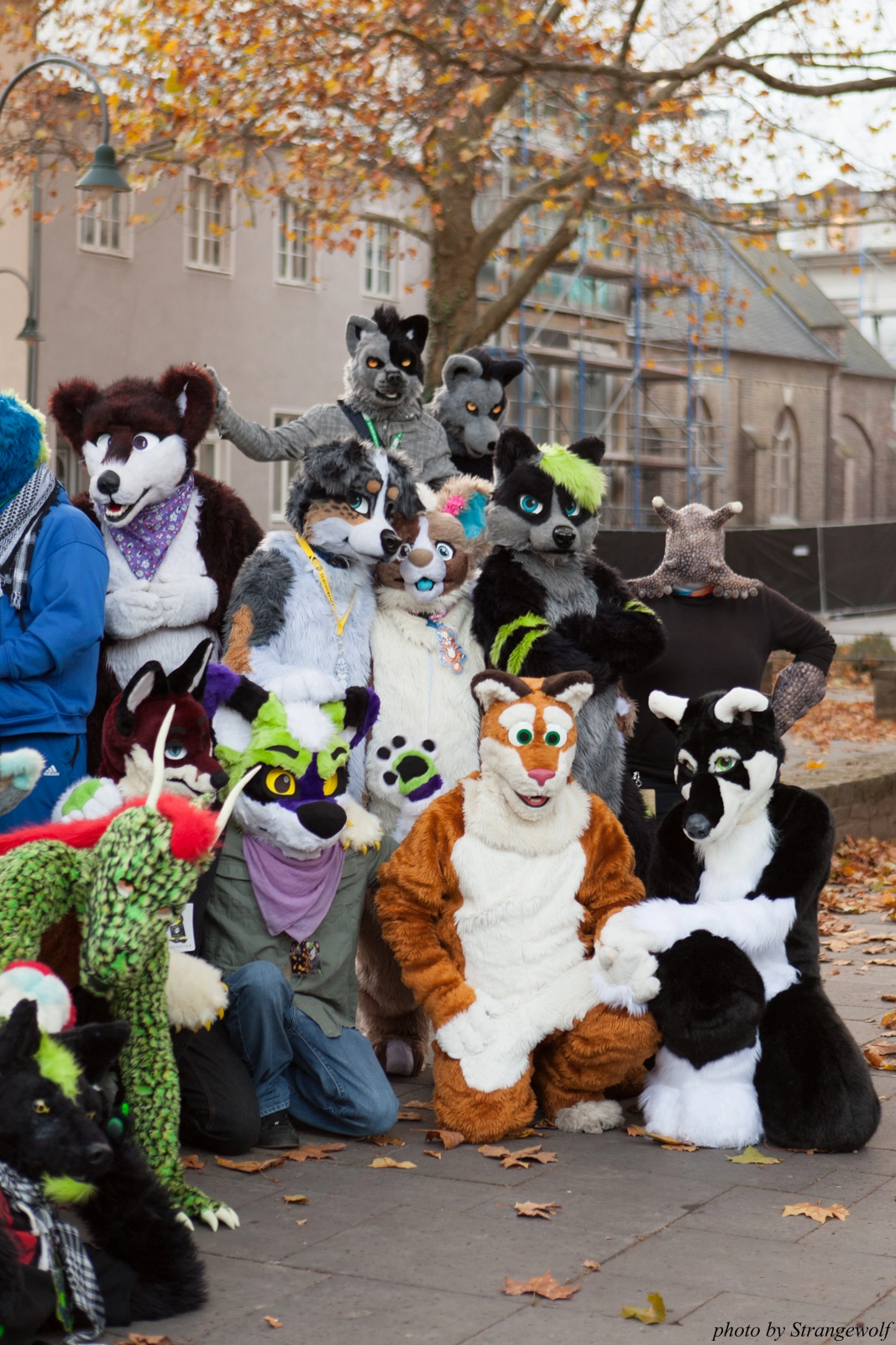 full image IMG_5298-lr16t.jpg