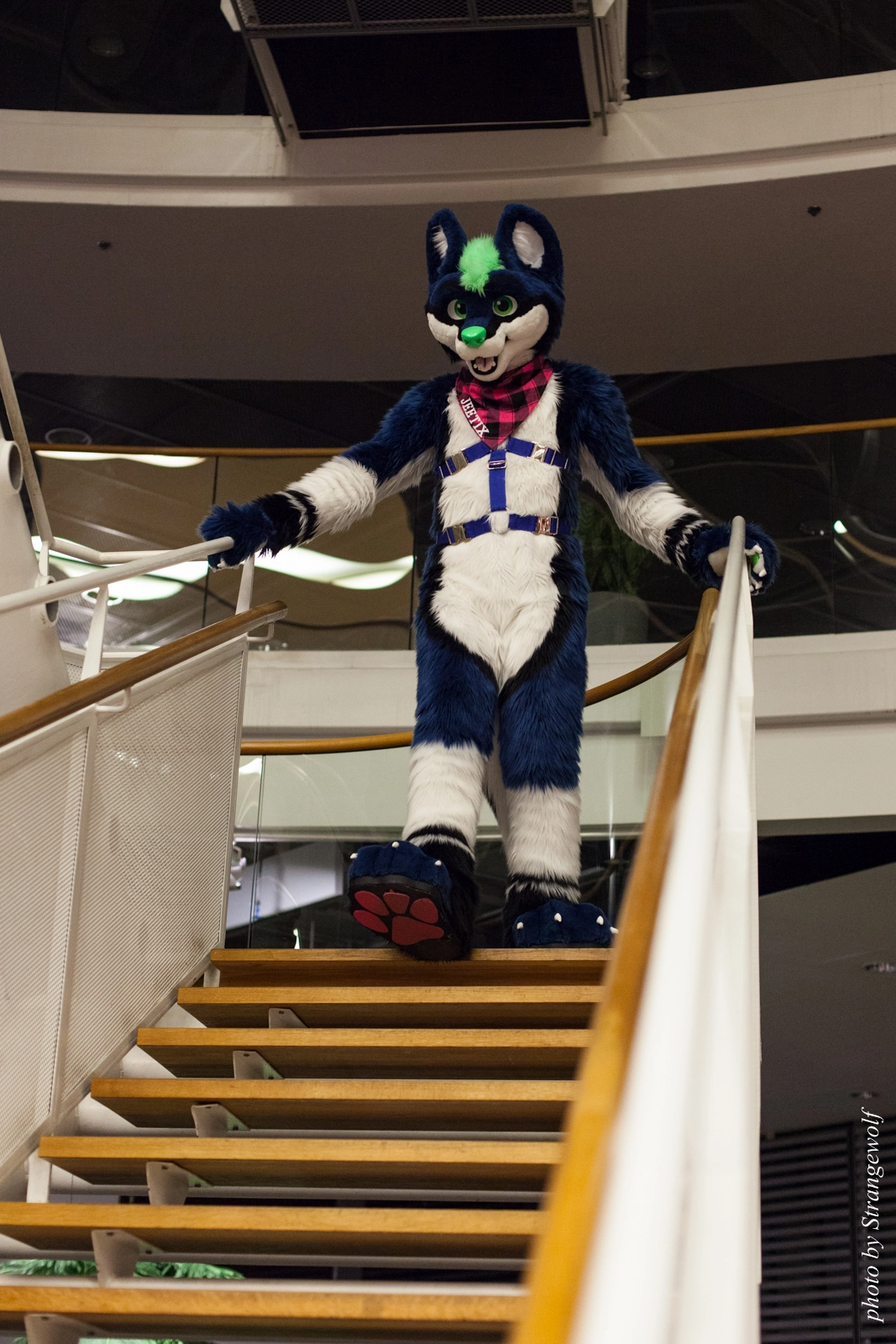 full image IMG_1896-lr16t.jpg