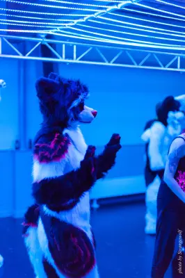 IMG_5433-lr16t.jpg of DFD/DFD2017/