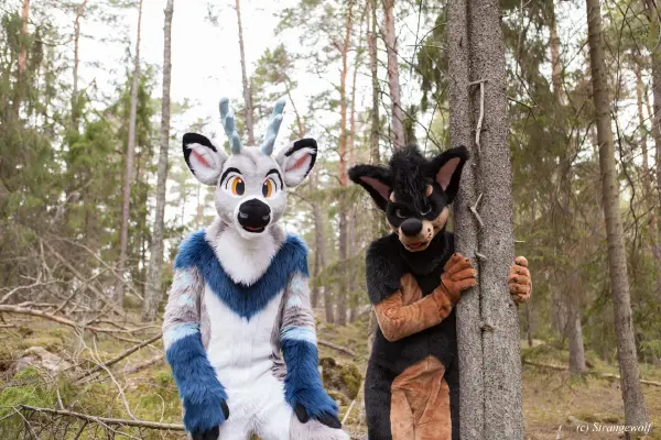 IMG_8545-lr19t.jpg of NFC/NFC2019/Shoot-Strife_Carlito/