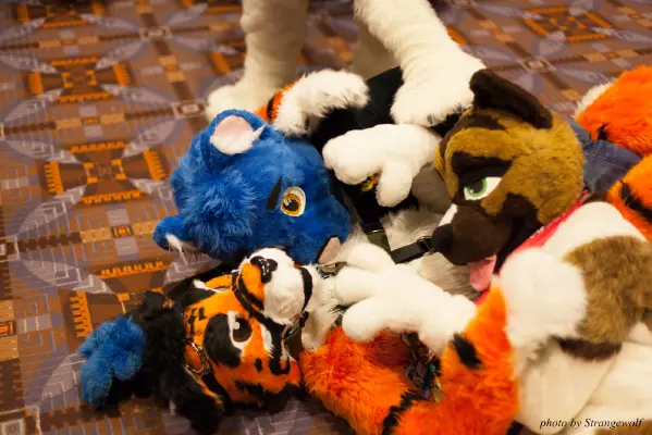 IMG_0818-lr16t.jpg of MFF/MFF2016/