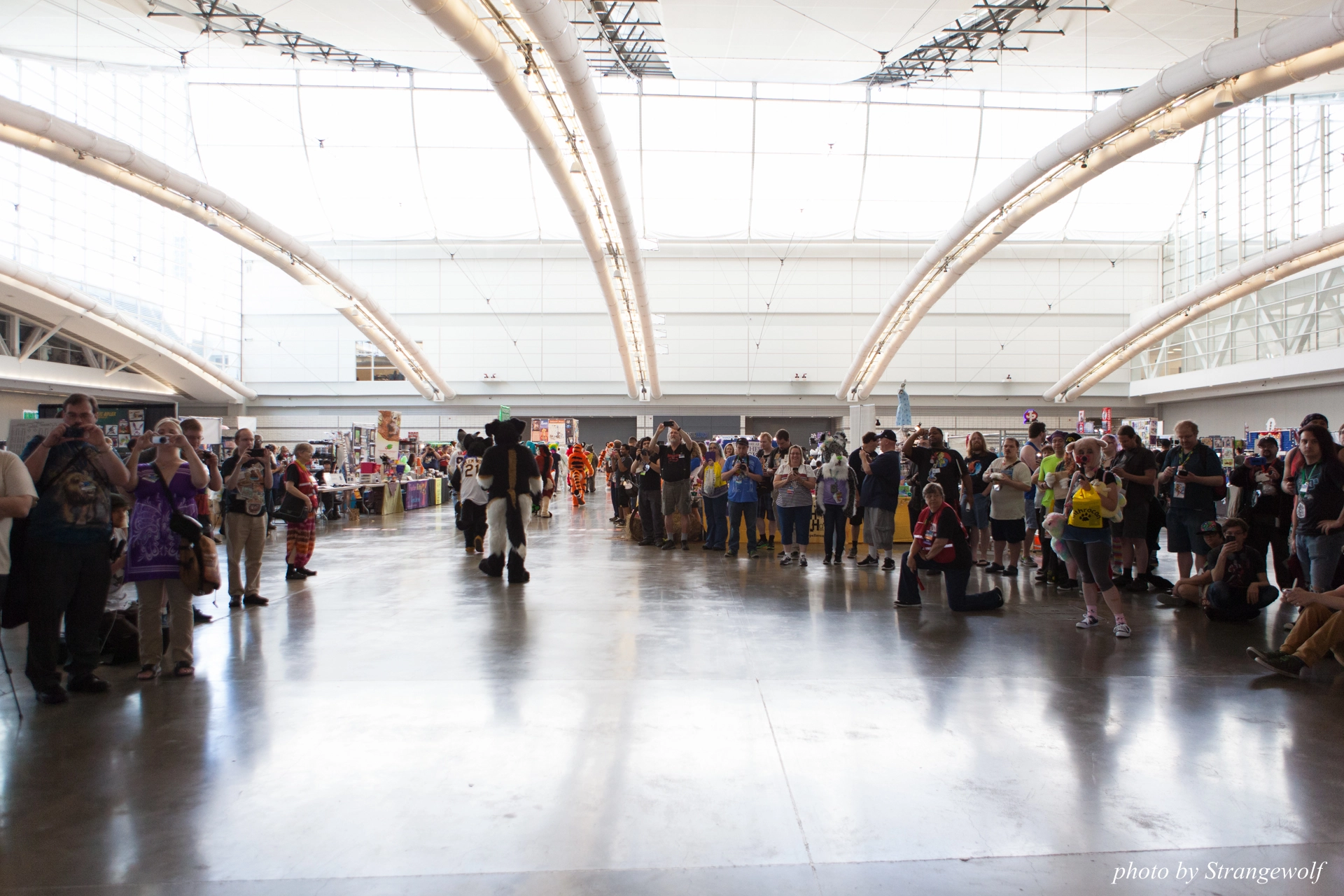 full image IMG_4445-lr19t.jpg