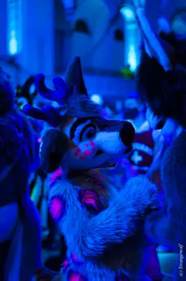 IMG_3016-lr19t.jpg of ANE/ANE2022/
