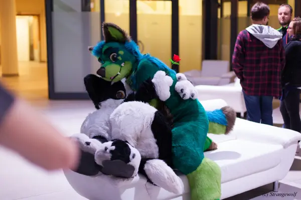 IMG_5381-lr19t.jpg of EF/EF24/