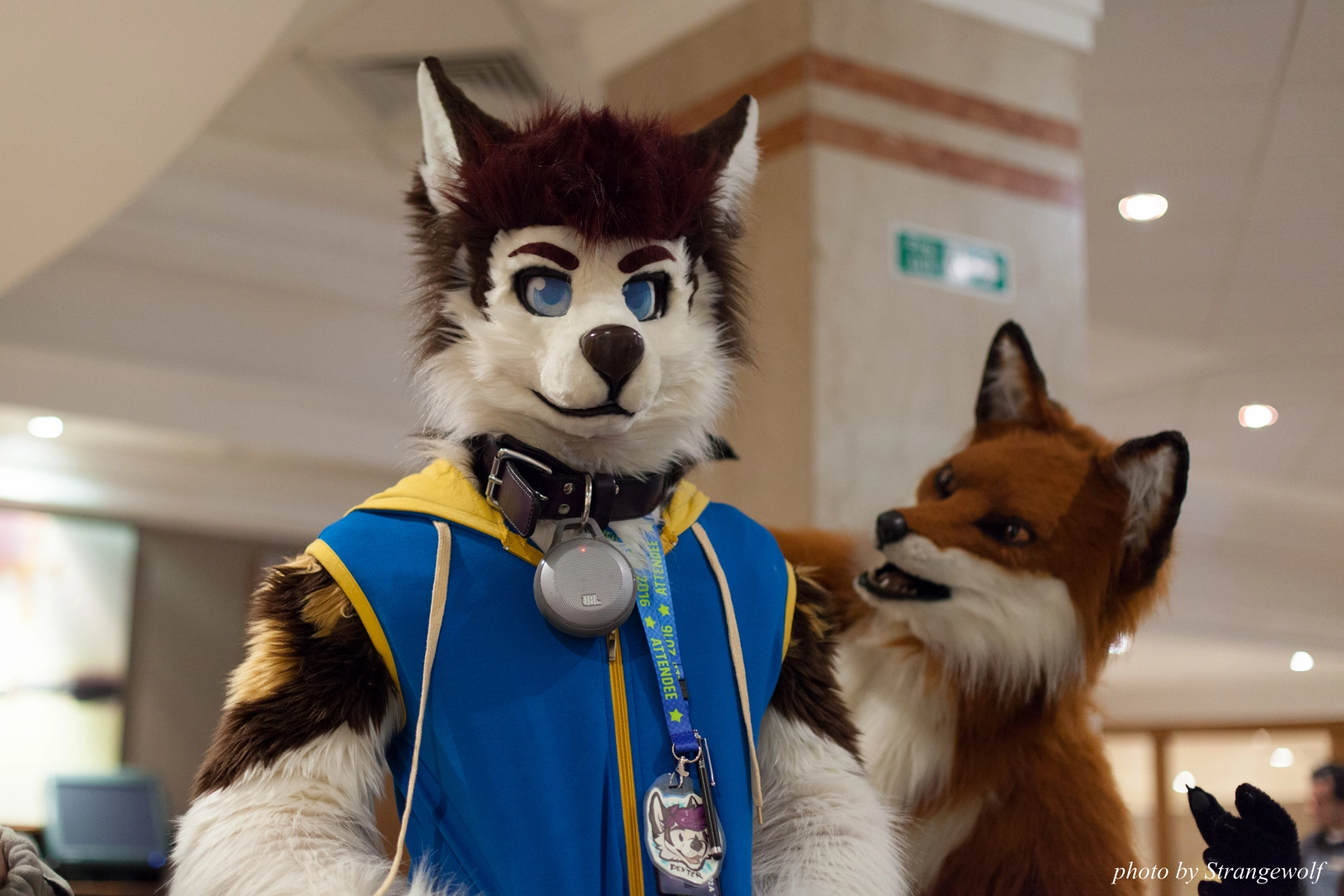 full image IMG_7684-lr16t.jpg