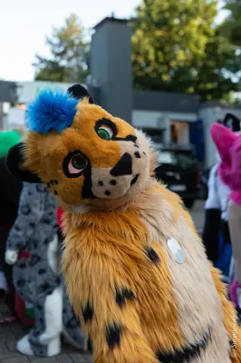 Next album: Herne-Furmeet