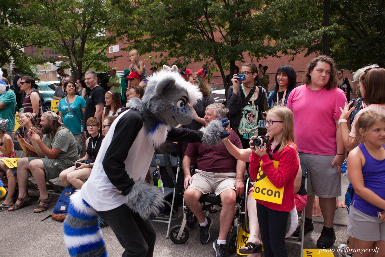 full image IMG_8064-lr16t.jpg