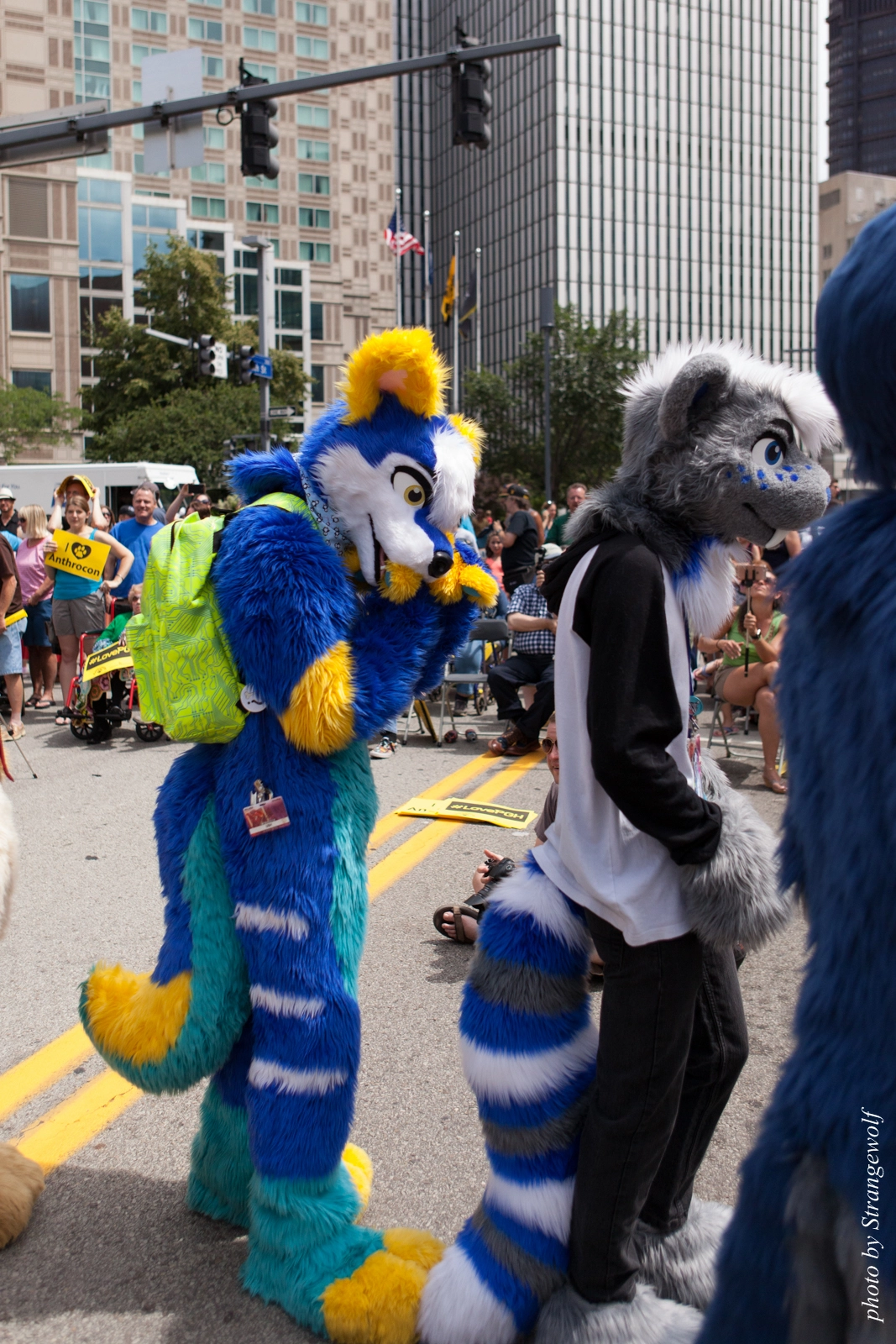 full image IMG_8055-lr16t.jpg