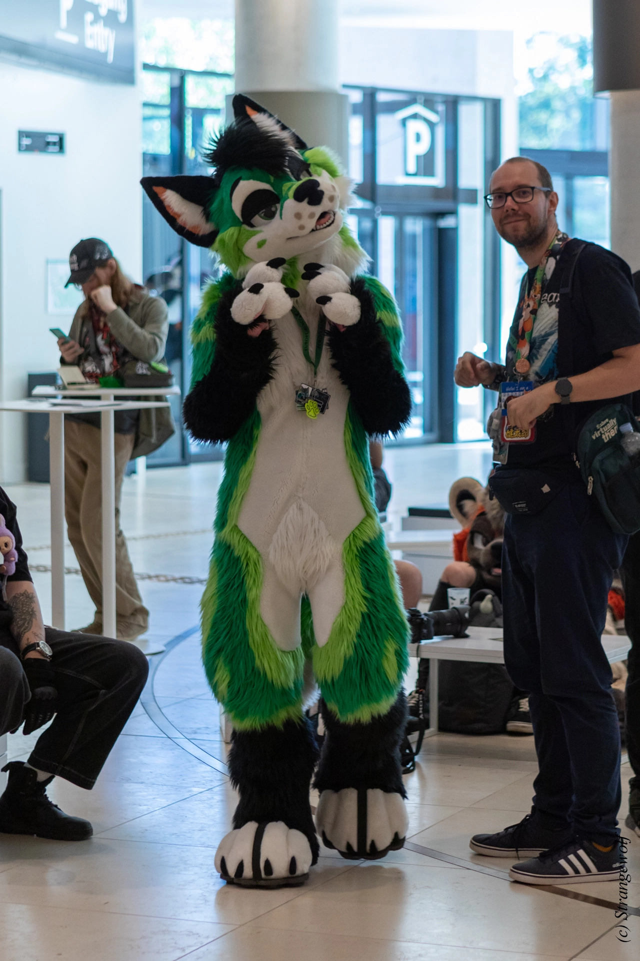 full image 1R3A9231-lr19t.jpg