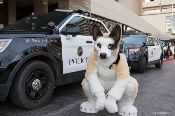IMG_8426-lr19t.jpg of MFF/MFF2017/