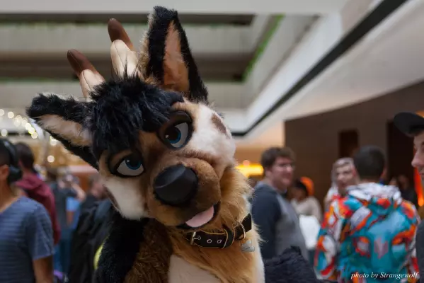 IMG_0687-lr16t.jpg of MFF/MFF2016/