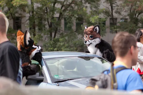 IMG_5242-lr19t.jpg of EF/EF24/