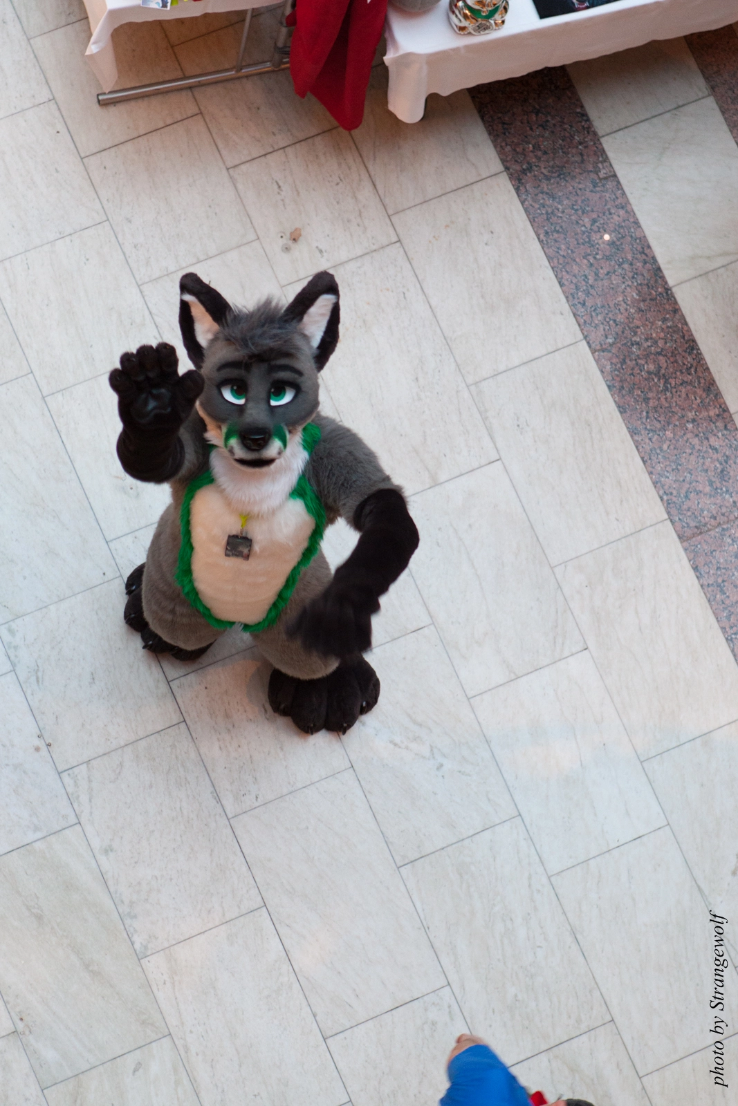 full image IMG_1533-lr16t.jpg