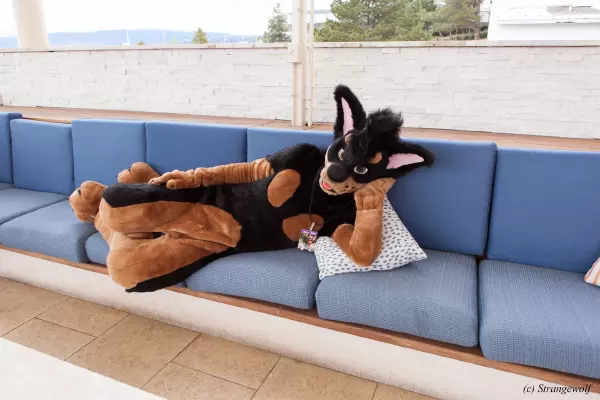 IMG_2747-lr19t.jpg of BLFC/2018/