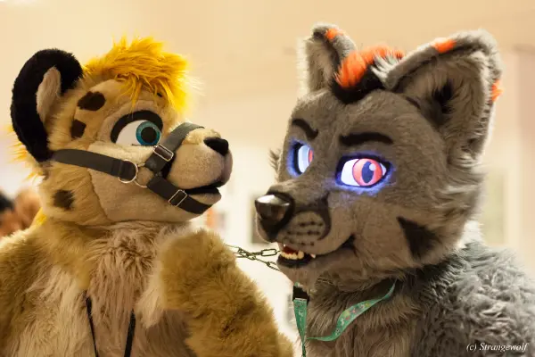 IMG_9104-lr19t.jpg of NFC/NFC2019/