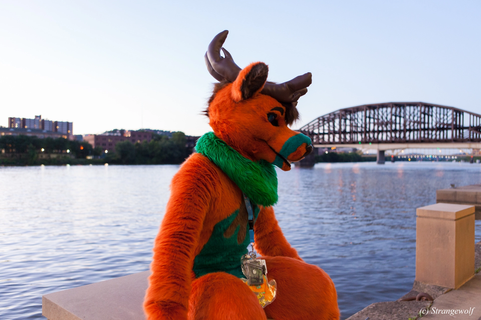 full image IMG_4502-lr19t.jpg