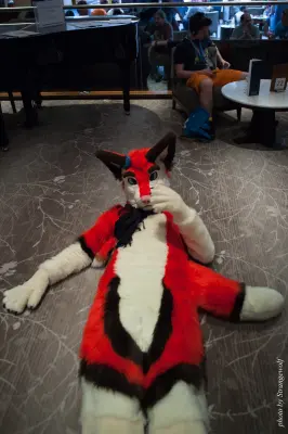 IMG_7425-lr16t.jpg of CFZ/CFZ2016/