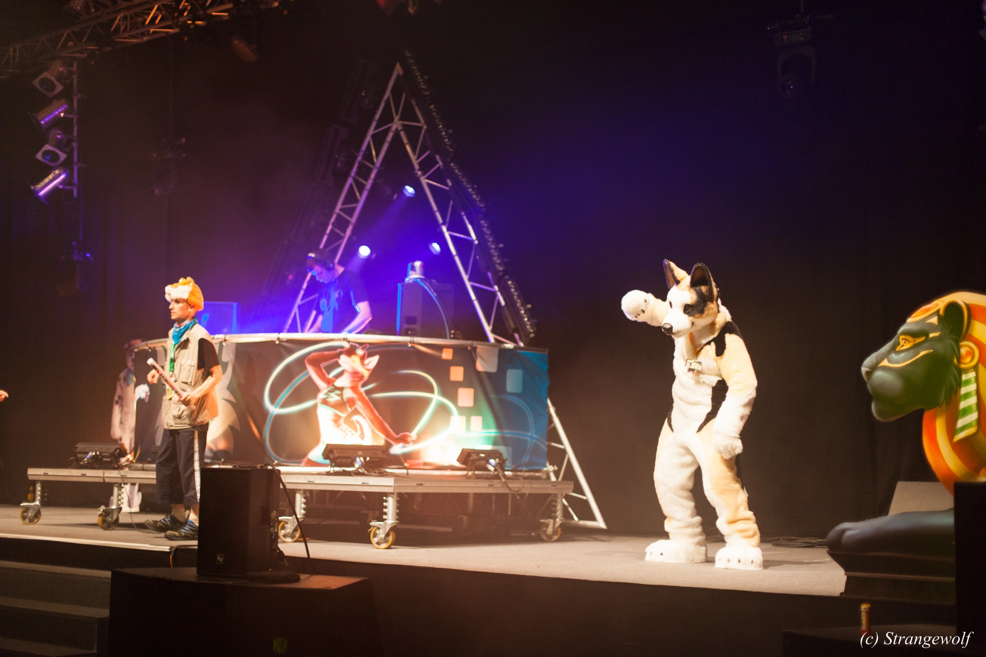 full image IMG_6681-lr19t.jpg