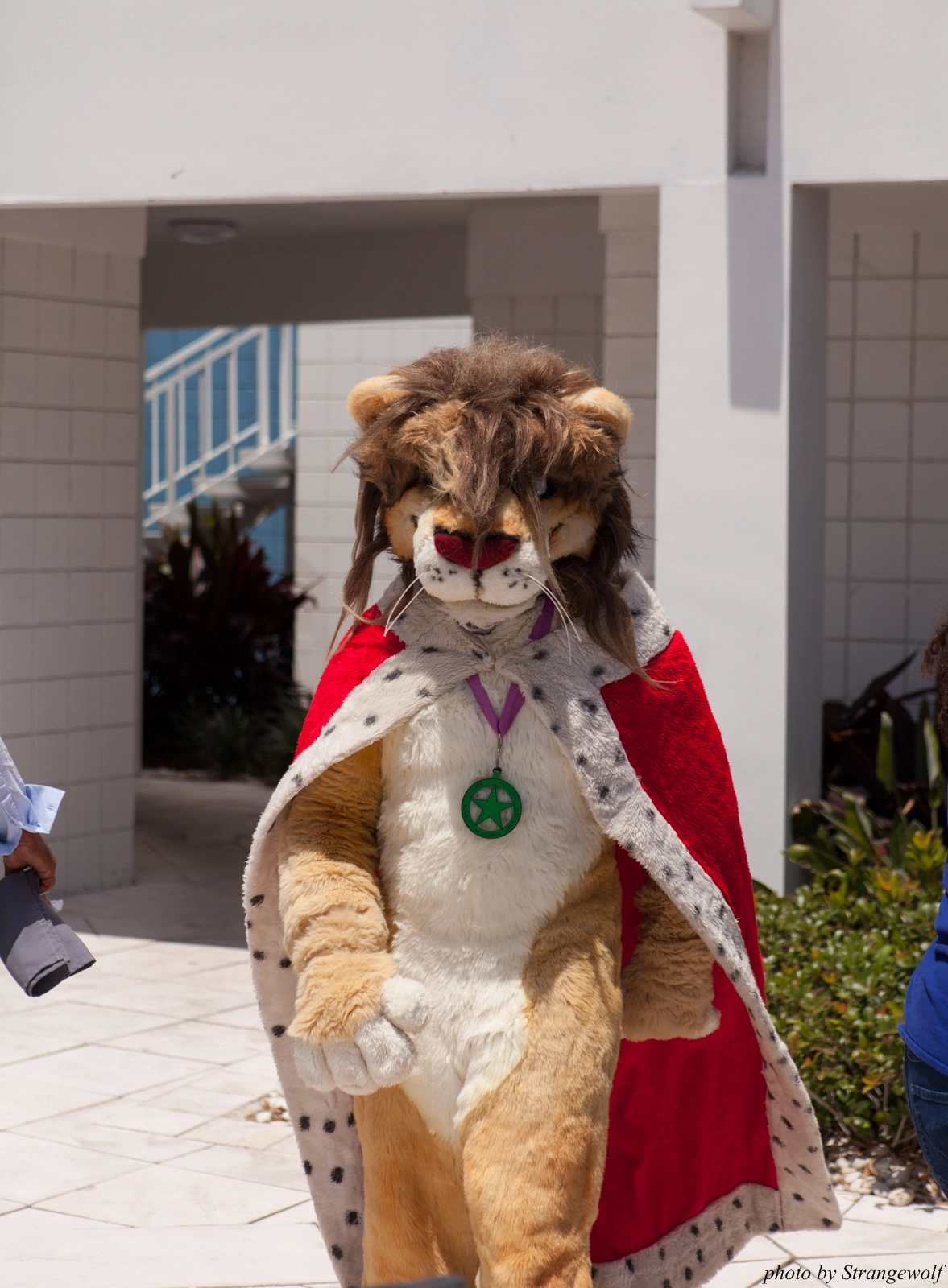 full image IMG_8804-lr16t.jpg