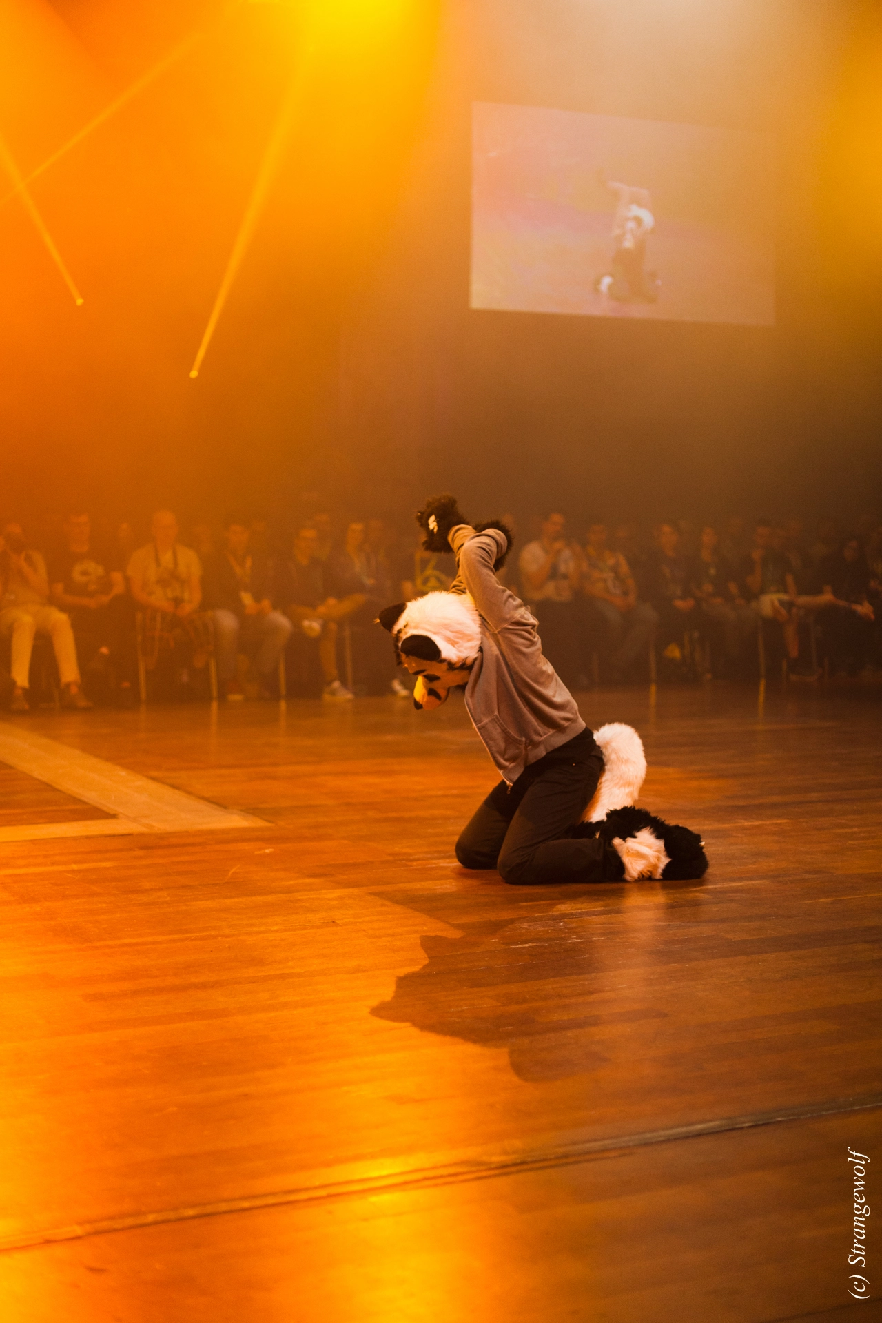 full image IMG_6568-lr19t.jpg